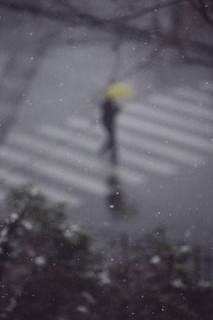 Snowy streetの写真素材