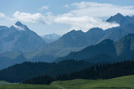 Grassland in Jiang Bulake, Xinjiang, Chinaの写真素材