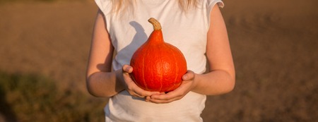 A girl holds a small pumpkin in her hand. Halloween preparationの写真素材