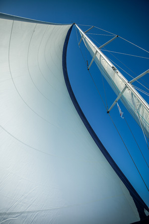Sails filled with wind against the sky. Wind greatly inflated yacht sails. Bottom view. Clear summer day.の写真素材