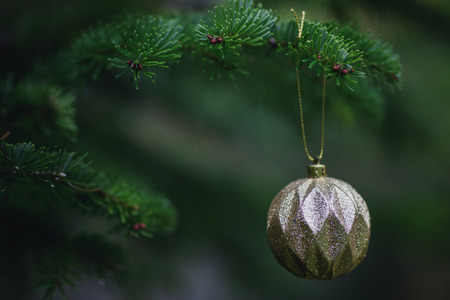 Close-up view of golden ball as decoration hanging on the branches of a Christmas tree and sparkling...