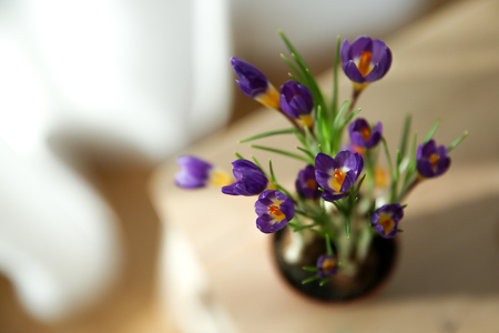 spring fresh purple flowers on a wooden tableの写真素材