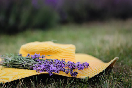 Lavender flowers on a yellow hat in summer in Hungary, Close-up