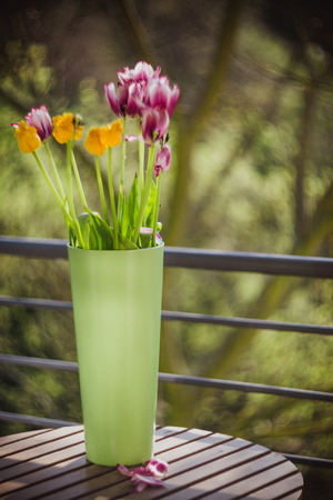 Beautiful purple and yellow tulips in green vase on wooden table outside. Out of focus concept. Close-upの写真素材