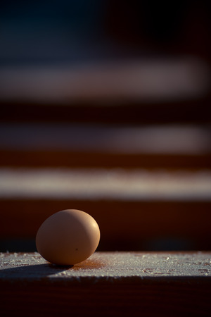 Freshly picked eggs on wooden base with frost in winter. Close-upの写真素材