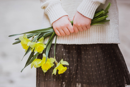 Little girl in pastel clothes holding yellow daffodils, selective focus. Close-up, handsの写真素材