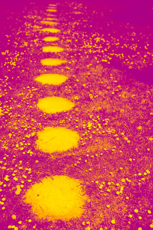Stone walkway. Duotone effect magenta and yellow for toning photo concept. Popular trend palette for design illustrations, fabrics, fashion, imagesの写真素材