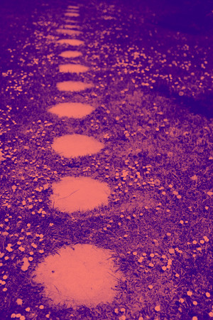 Stone walkway. Duotone effect coral and purple for toning photo concept. Color of the year 2019 Living Coral. Popular trend palette for design illustrations, fabrics, fashion, imagesの写真素材