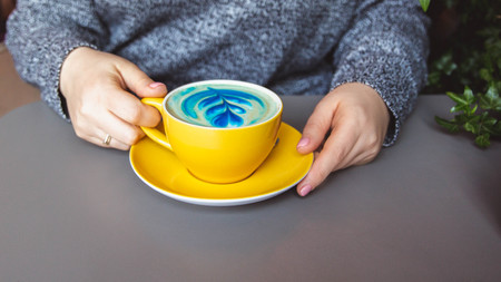 Woman holding yellow hot trendy blue latte with art flower petals on the foam on grey wooden table background, healthy drink with latte art, morning fresh up, close-upの写真素材