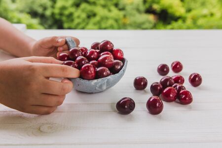 Kids hands with fresh cherries in light blue plate on white wooden table with bright greens background. Summer and harvest conceptの写真素材