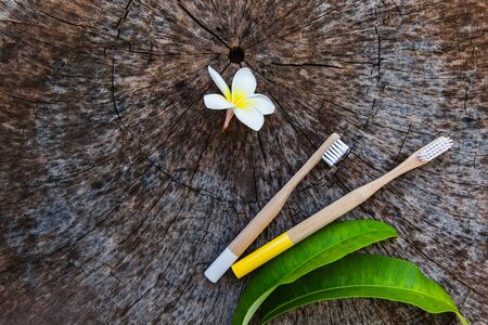 Two white and yellow eco friendly bamboo wooden toothbrushes on wooden background with white yellow flower Plumeria with green leaf. Copy space, flat lay.の写真素材