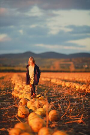Girl in dark blue coat and orange skirt stands on pumpkins on the field on sunset. Halloween. Beautiful landscape in Hungaryの写真素材