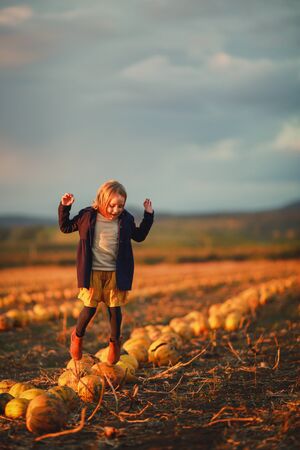 Girl in dark blue coat and orange skirt jumps on pumpkins on the field on sunset. Halloween. Beautiful landscape in Hungaryの写真素材