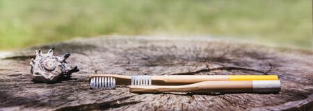 Two white and yellow eco friendly bamboo wooden toothbrushes on wooden background with shell. Plastic free sustainable lifestyle symbolの写真素材