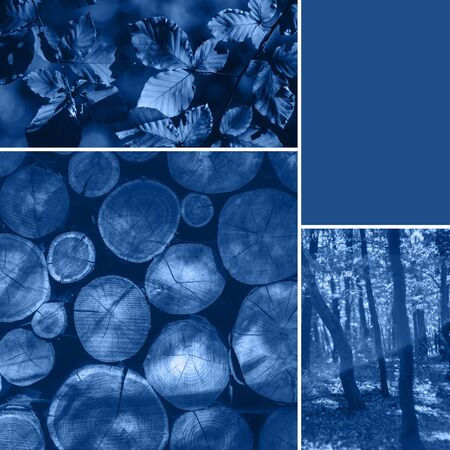 Creative collage inspired color of the Year. Blue background. Color of the year 2020.