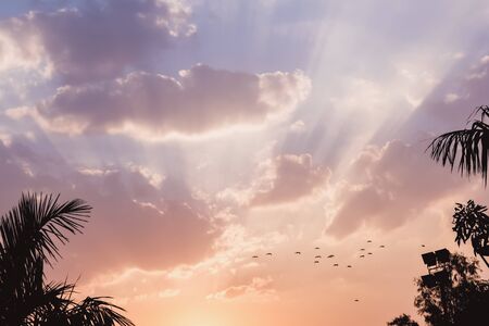 Rays of light pass through clouds on a blue and pink sky at sunset, background