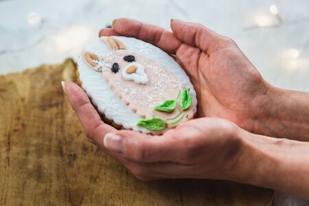 Two hand painted gingerbread on a wooden background. The cute ilama shaped are painted on the gingerbread. Close-up.の写真素材