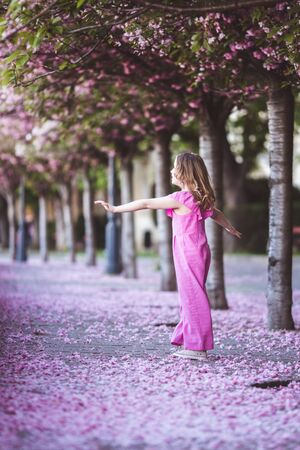 Beautiful girl in pink dress in cherry blossom park on a spring day, flower petals falling from the tree in Budapest, Hungaryの写真素材