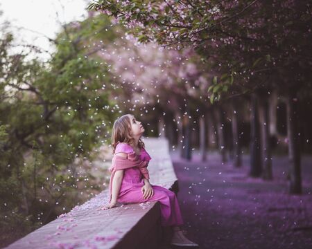 Beautiful girl 10 y.o. in pink dress sit in cherry blossom park on a spring day, flower petals falling from the treeの写真素材