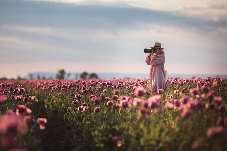 Beautiful blond-hair woman in hat takes photos in the Lilac Poppy Flowers field on sunsetの写真素材