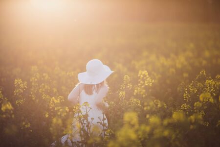 A blurred little girl in white dress running through the rape field at sunset. Intentional sun glare, lens focus on rape flowersの写真素材
