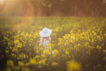 A blurred little girl in white dress running through the rape field at sunset. Intentional sun glare, lens focus on rape flowersの写真素材