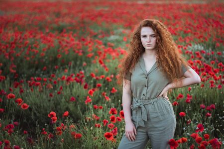Young beautiful red-hear girl in red poppy fieldの写真素材