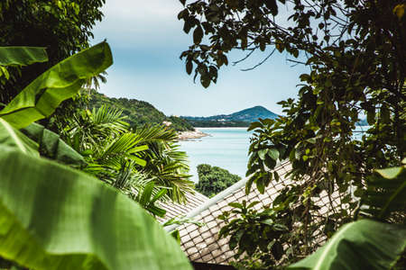 A view of the sea with the frames of leaves