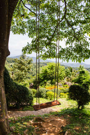 Wooden swing in the tropical forest Koh Samui island, Thailand.