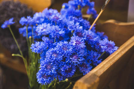Bouquet of beautiful cornflowers in the store decorations and colors.