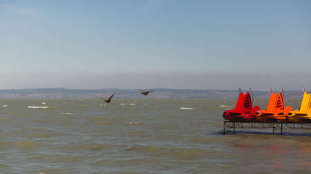 Multicolored catamarans on Lake Balaton in windy weather, Hungary.の写真素材
