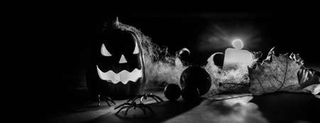 Black and white photo halloween pumpkins smile and scrary eyes for party night. Close up view of scary Halloween pumpkin with eyes glowing inside and candle at black backgroundの写真素材