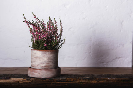 Handmade pot with home flower on wood with white loft background. Craft.の写真素材