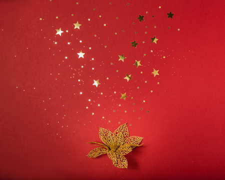 Golden decorative flower on red background with gold stars sparkles.の写真素材
