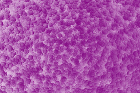 Abstract background sparkle bright violet background.の写真素材