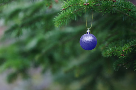 Close-up view of purple ball as decoration hanging on the branches of a Christmas tree and sparkling in the sunshine. Colors of year 2022 - Very Periの写真素材