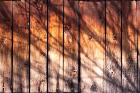 Shadow of branches on a wooden buildingの写真素材