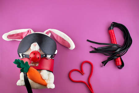 BDSM toys on a pink background. The concept of sexual life. A toy rabbit in a collar with a gag and a mask. BDSM and set the rope in the shape of a heart. Advertising the -shop.の写真素材