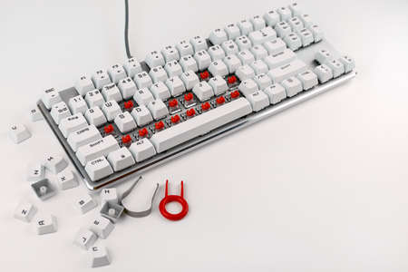 Disassembled keyboard on a white background. Disassembly and cleaning of the computer keyboard....