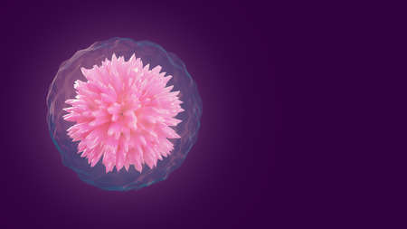 Omicron virus, 3d render. Pink virus in a transparent membrane