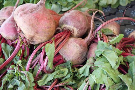 Fresh beetroot in the marketの写真素材