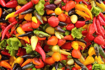 Colorful hot peppers as a background