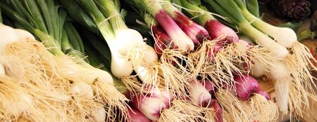Fresh leek onions at the weekly market