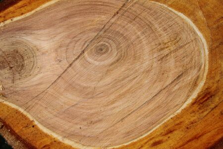 Old wood as a background