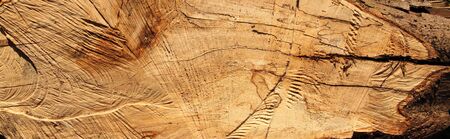 Old wood as a background
