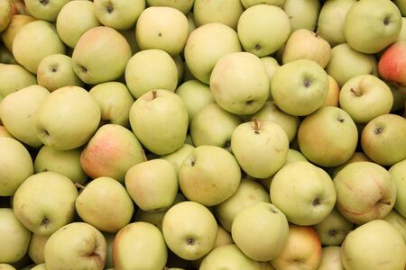 Colorful apples as a background