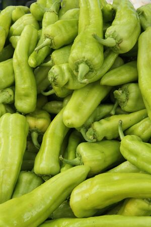 Fresh green peppers for saleの写真素材