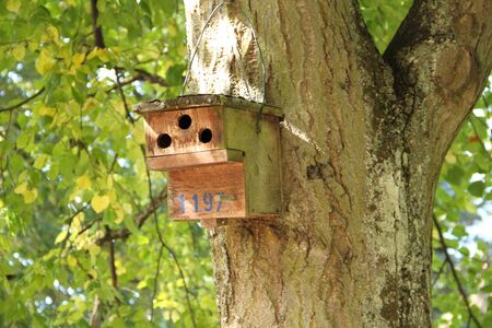 A birdhouse on the tree