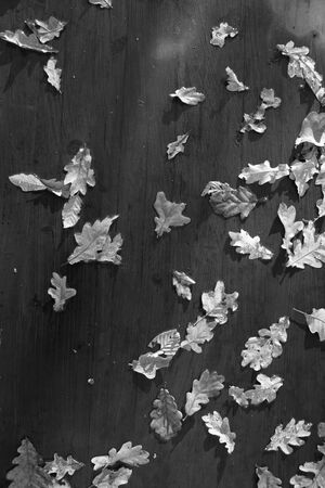 Table with oak leaves as background