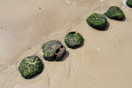 Breakwater at the North Seaの写真素材